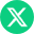 x icon